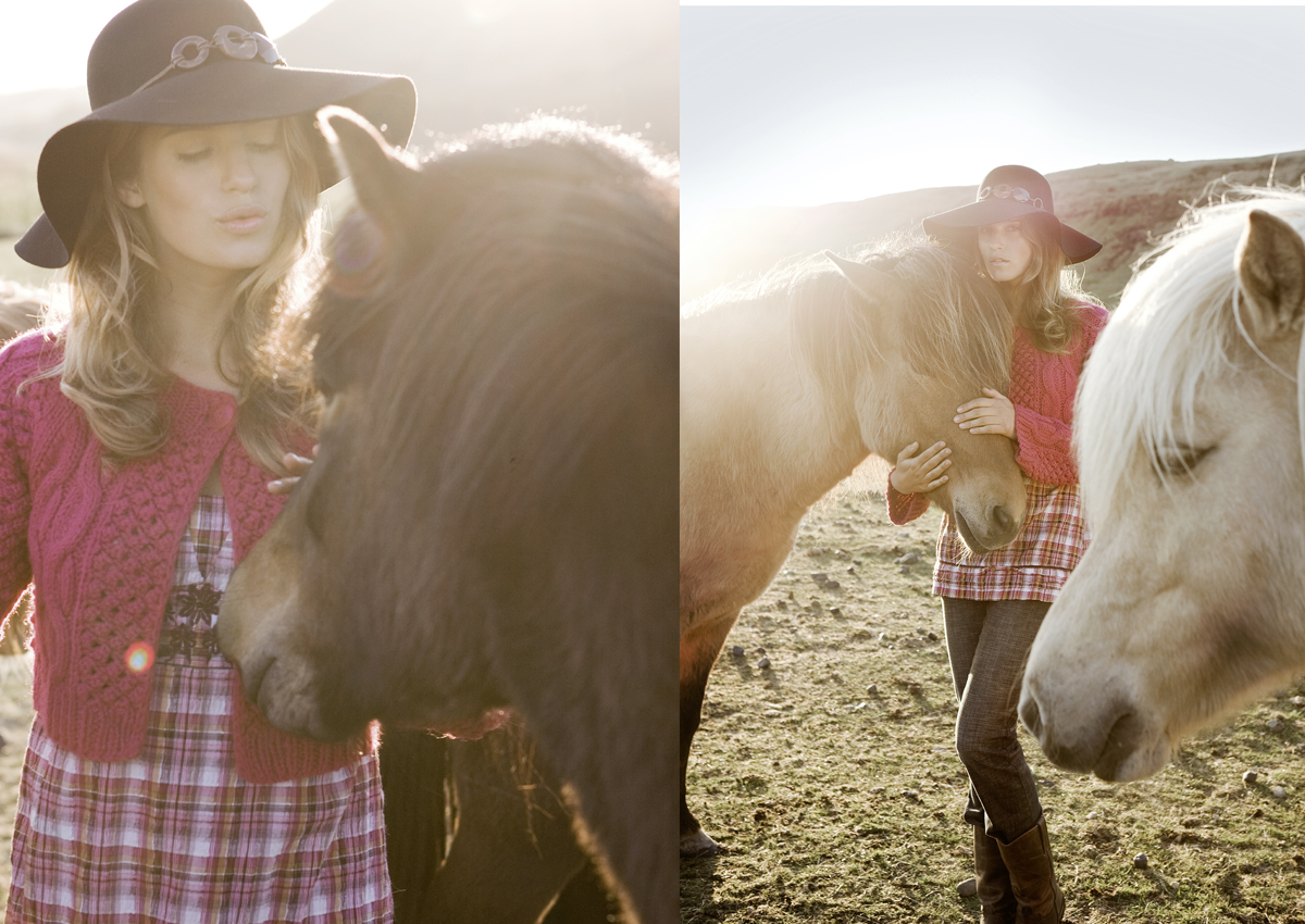 ernstalexander_island05